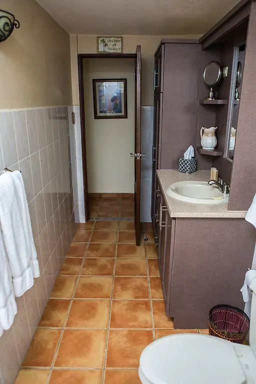 ゲストハウス ホテルCasa D'Palma リンコン